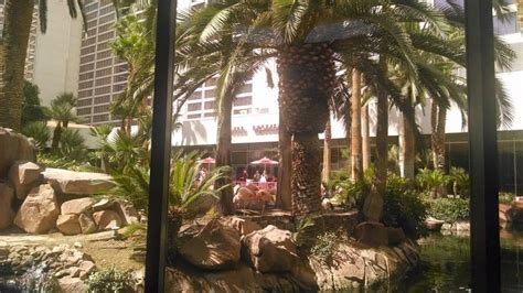 Wildlife Habitat at the Flamingo - Vegas Food & Fun