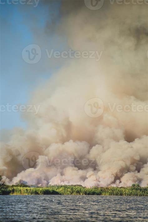 Large clouds of smoke, fire in nature. 4889049 Stock Photo at Vecteezy