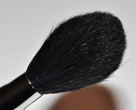 MAC 129 Powder/Blush Brush Photos & Review