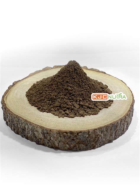 Reishi Mushroom Powder – kjc