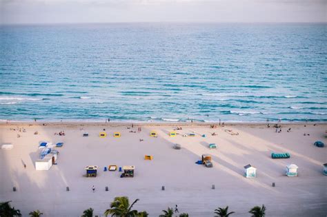 Royal Palm South Beach Miami, a Tribute Portfolio Resort Day Pass | Daycation