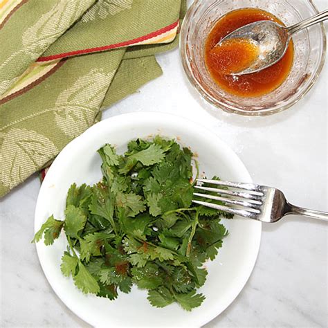 Spicy Cilantro Salad – Art of Natural Living