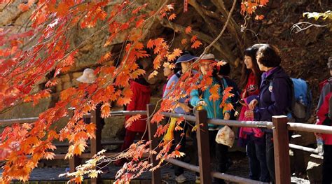 Seoraksan National Park Autumn Season Day Tour from Seoul, South Korea ...