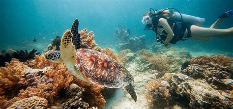 Have you tried snorkeling? 6 tips to make your experience better ...