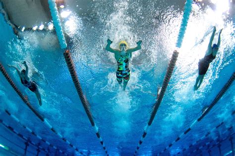 Below the surface in Austin Underwater Swimming Photo Vault #4