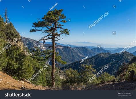 Angeles national forest Images, Stock Photos & Vectors | Shutterstock