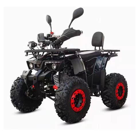 125cc Racing ATV Quad Bike with CE Atvs for Kids - China 125cc ATV and Quad Bike price