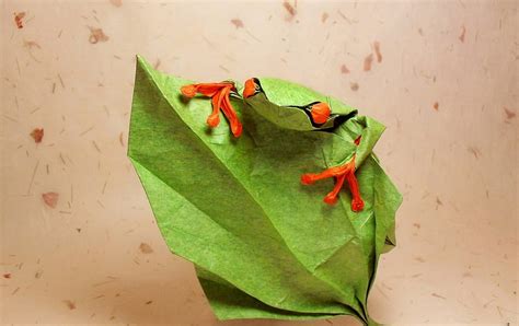 Frog, verde, paper, orange, origami, portocaliu, hartie, green, broasca HD wallpaper | Pxfuel