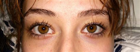 Central heterochromia or just hazel? : r/eyes