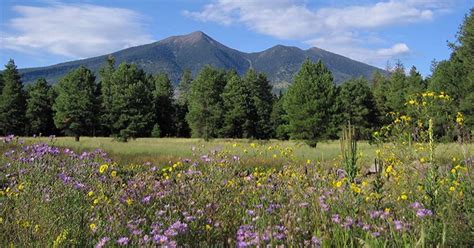 Flagstaff Spring Events - Discover Flagstaff