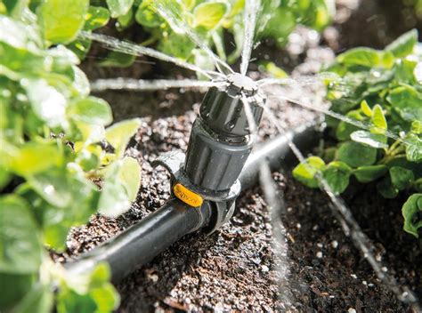 The Best Options for Automatic Plant Watering System | Hort Zone