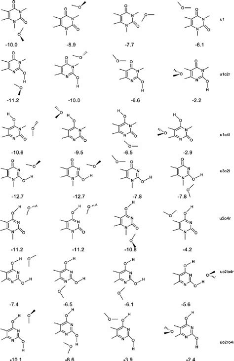 Seven of the most stable structures of uracil tautomers with one water... | Download Scientific ...