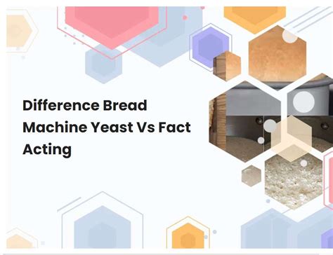 Difference Bread Machine Yeast Vs Fact Acting | breadmach.com