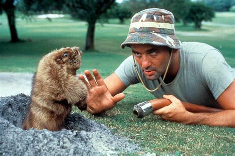 Gopher Cradles Golf Ball in 'Real-Life Caddyshack' Moment: Watch