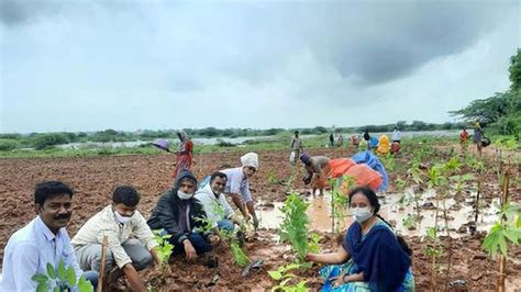 Palle Prakruthi Vanams changing the face of villages - The Hindu