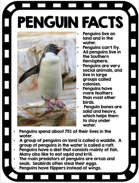 Penguin Unit | Penguin Activities | Math | Reading | Writing | Research | Polar animals ...