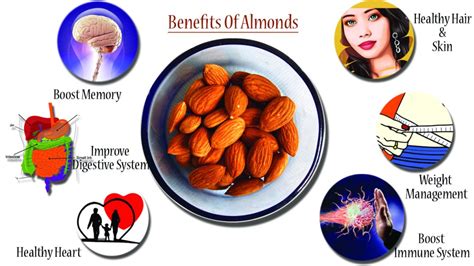 Health Benefits of Almond | Mero Recipe