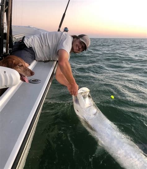 Tarpon Season (April - June) - Blue Line Fishing Charters, LLC