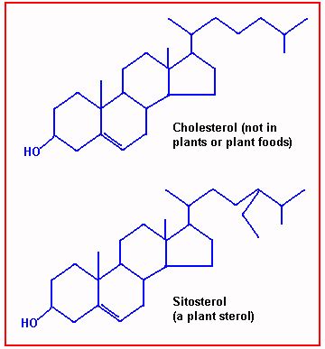 Plant Sterols and their Cholesterol Lowering Effects – HartsSpace