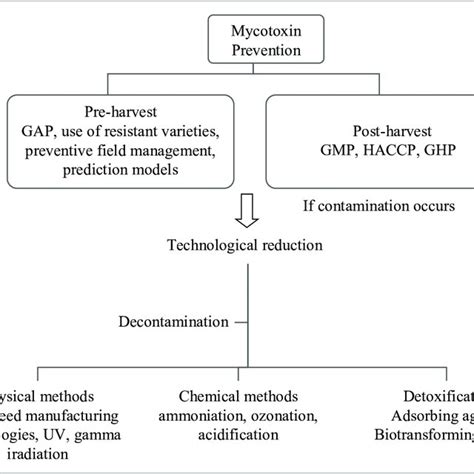 Strategies to prevent and reduce mycotoxins | Download Scientific Diagram