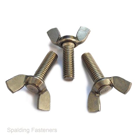 DIN316 A2 304 Stainless Steel Wing Bolts Nut Butterfly Screw M4 M5 M6 M8 M10 | eBay