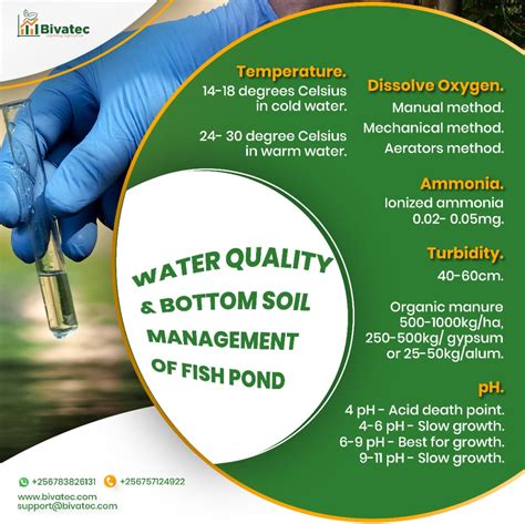 Effective Water Quality Management for Fish Farming