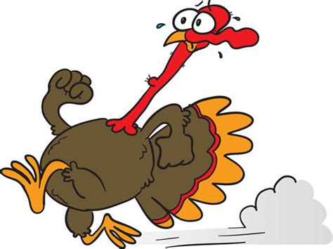 Happy Thanksgiving Turkey Pictures - ClipArt Best