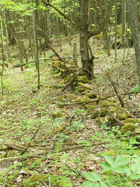 Photos of Eagle Mountain Trail - Vermont | AllTrails