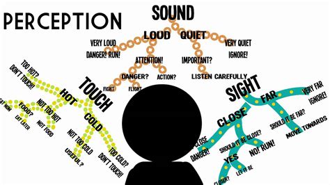 Sensation & Perception: Information Processing in the Brain - YouTube