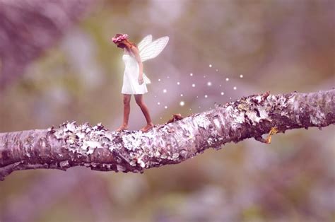 Beautiful fairy | Fairy photography, Fairy, Real fairies