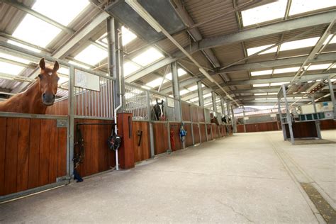 Equine livery - horses in Blue Yard - Reaseheath College