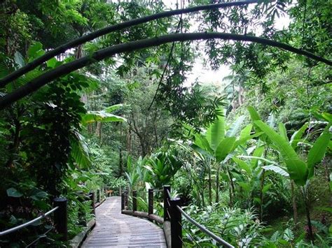 Tropical Botanical Gardens, Hilo | Big Island Hawaii | Pinterest