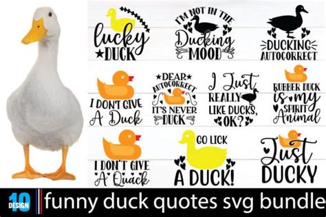 Funny Duck Quotes Svg Bundle Graphic by shahinrahman312001 · Creative Fabrica