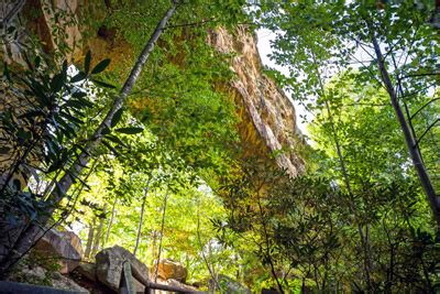 Red River Gorge Scenic Byway | Kentucky Scenic Drives on myscenicdrives.com