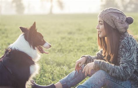 A importância do animais para a promoção da saúde