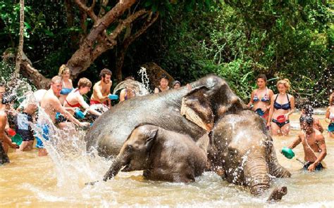 Top 10 Places Swimming with Elephants in Thailand | UME Travel