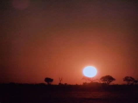 Sunset On The African Plains. - PentaxForums.com