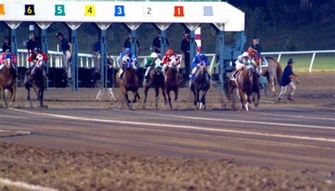 How to Calculate Speed Figures for Horse Races - SportsRec