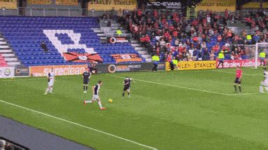 dundee | Tag | PrimoGIF