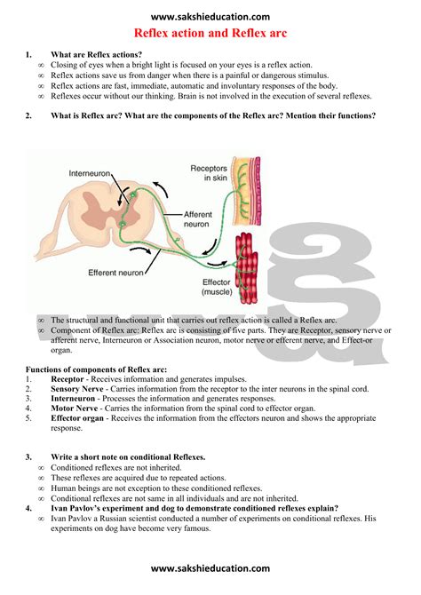 Reflex action and Reflex arc