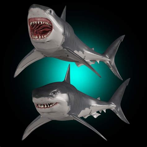 JAWS (Great White Shark) - 3D Model by Virtual creator and creature