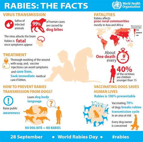 Rabies Infographic