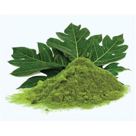 Papaya Leaf Powder| Holy Natural