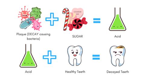 Dental Decay Process at Porfirio Mckinsey blog