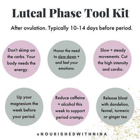 Luteal Phase Toolkit -- How to Support Your Body + Symptoms. · Nourished With Nina