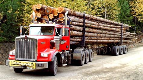 DNR increases 10-year sustainable timber harvest target | Boreal Community Media