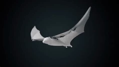 BionicFlyingFox, An Ultra-Lightweight Robotic Flying Fox Bat by Festo | Fox bat, Bat robot, Bat