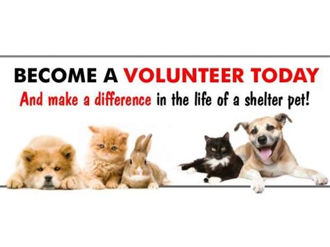 VOLUNTEER AT STRATFORD ANIMAL SHELTER | Patch