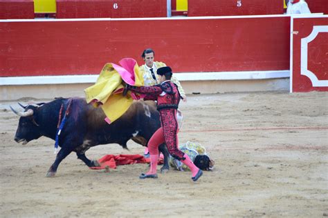 Matador Bullfight (26) | Pamplona | Pictures | Spain in Global-Geography