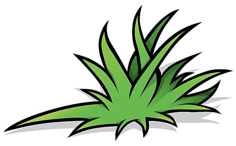 Grass Tuft PNG Transparent Images Free Download | Vector Files | Pngtree